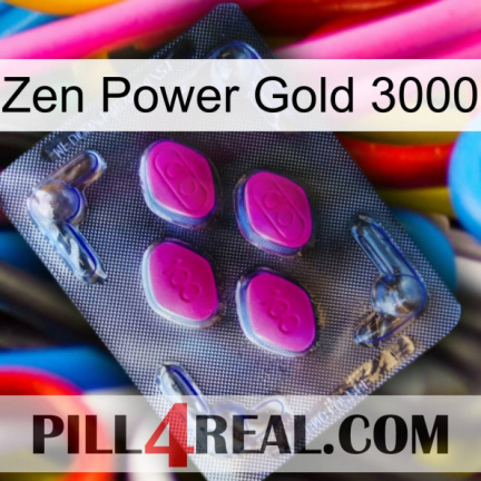 Zen Power Gold 3000 02